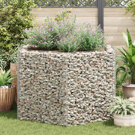 Hexagonal Gabion Raised Bed 63"x55.1"x39.4