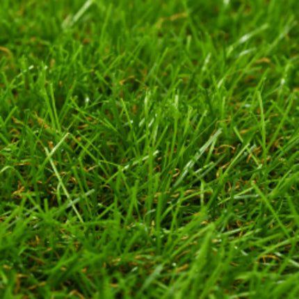 Artificial Grass 3.3'x49.2'/1.6" Green