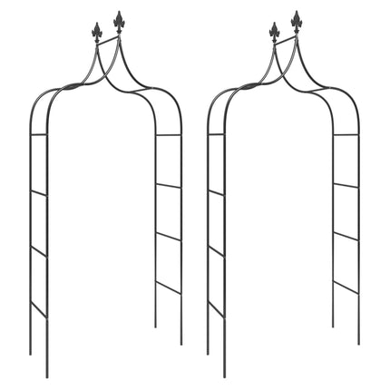 Garden Arches 2 pcs Black 47.2"x15"x102.4" Steel