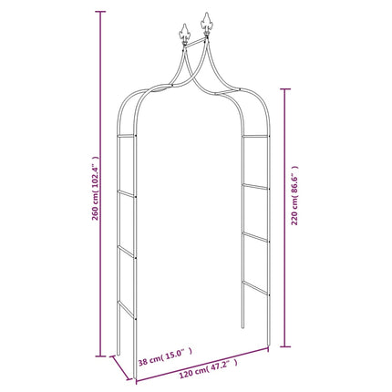 Garden Arches 2 pcs Black 47.2"x15"x102.4" Steel