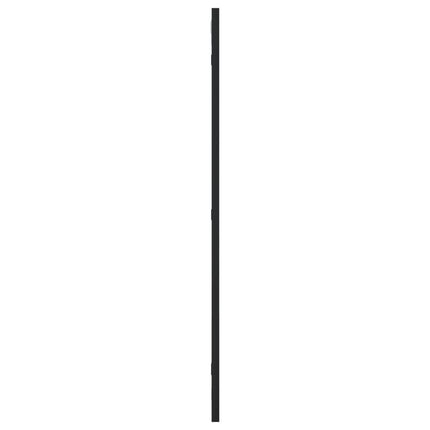 Wall Mirror Black 15.7"x31.5" Rectangle Iron