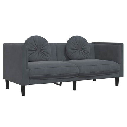 Sofa with Cushions 2-Seater Dark Gray Velvet
