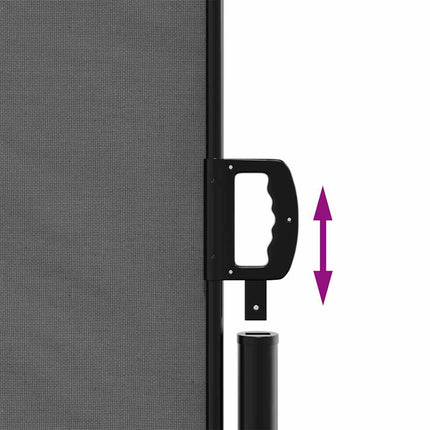 Retractable Side Awning Anthracite 63.0x118.1