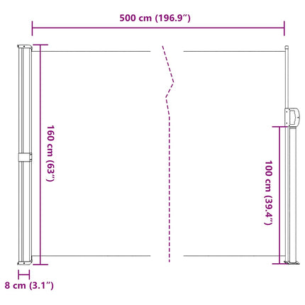 Retractable Side Awning Anthracite 63"x196.9