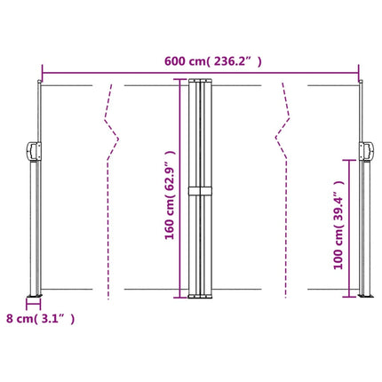 Retractable Side Awning Anthracite 63"x236.2