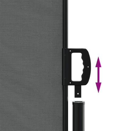 Retractable Side Awning Anthracite 63"x472.4