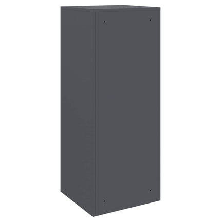 Parcel Drop Box Anthracite 16.14 x 14.96 x 40.55 in Steel