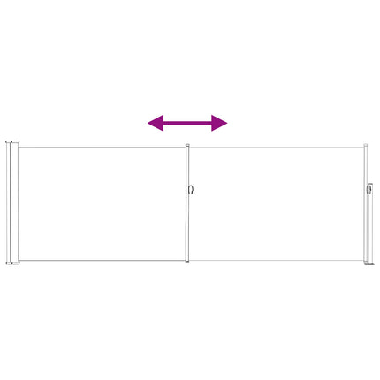 Retractable Side Awning Anthracite 118.11 x 39.37 in Polyester