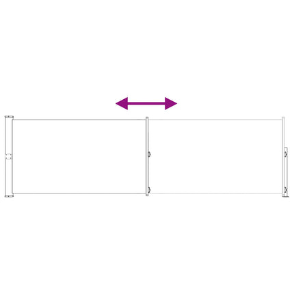 Retractable Side Awning Anthracite 196.85 x 62.99 in Polyester