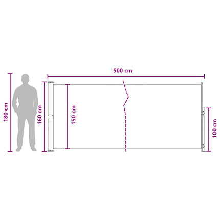 Retractable Side Awning Anthracite 196.85 x 62.99 in Polyester
