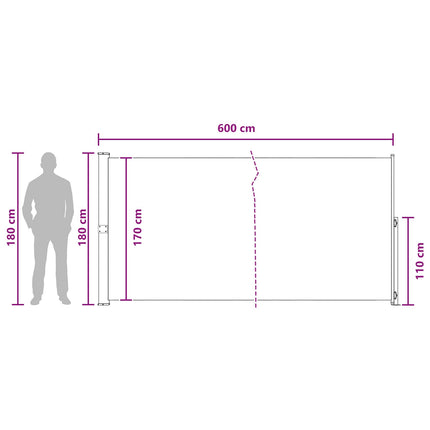 Retractable Side Awning Anthracite 236.22 x 70.87 in Polyester