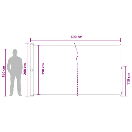 Retractable Side Awning Anthracite 236.22 x 78.74 in Polyester