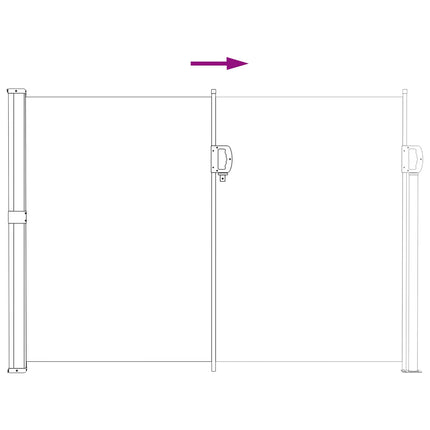 Retractable Side Awning Anthracite 118.11 x 66.93 in Polyester