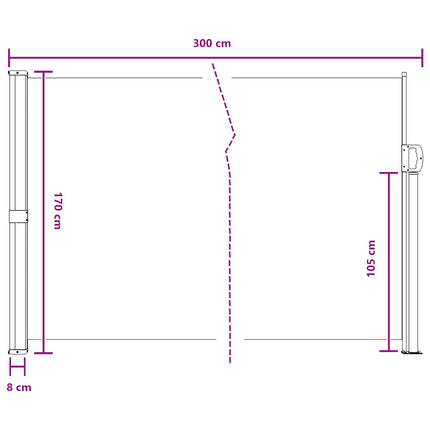 Retractable Side Awning Anthracite 118.11 x 66.93 in Polyester